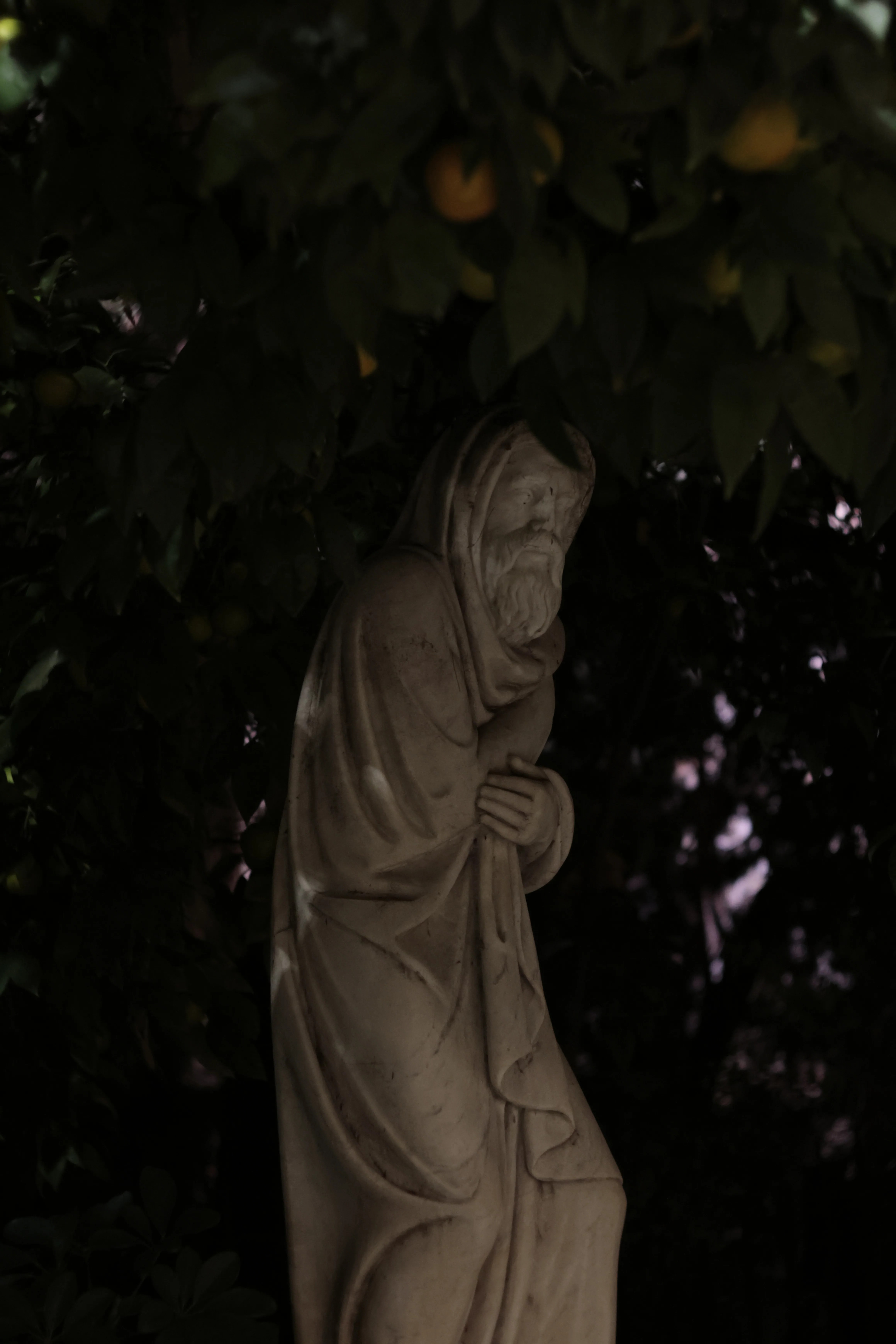 Zenith Helios-77M-4 1,850 (VOMZ) - _I4A0639.jpg